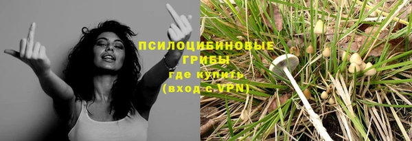 гашик Абаза