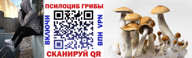 купить наркотики сайты  Ковров  гидра зеркало  Псилоцибиновые грибы прущие грибы 