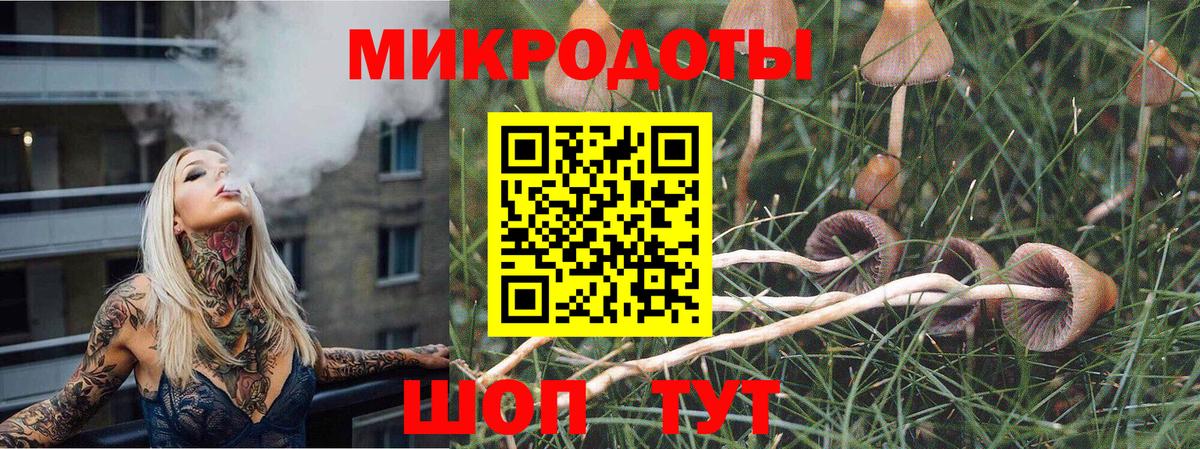 Галлюциногенные грибы Psilocybine cubensis  Галлюциногенные грибы мицелий  продажа наркотиков  Ковров  Вход с VPN 