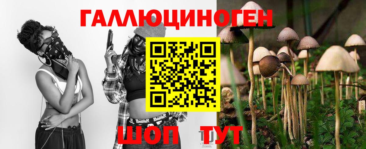 Галлюциногенные грибы мухоморы Ковров